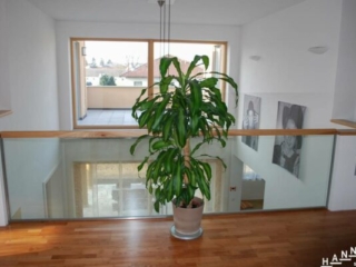Glasgeländer Holzhandlauf